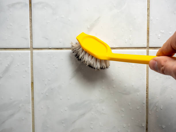 Best Best Mold Removal Companies  in Fort Washakie, WY
