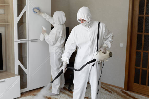 Best Mold Damage Repair  in Fort Washakie, WY