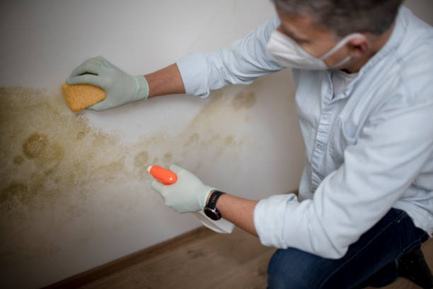 Best Crawl Space Mold Removal  in Fort Washakie, WY