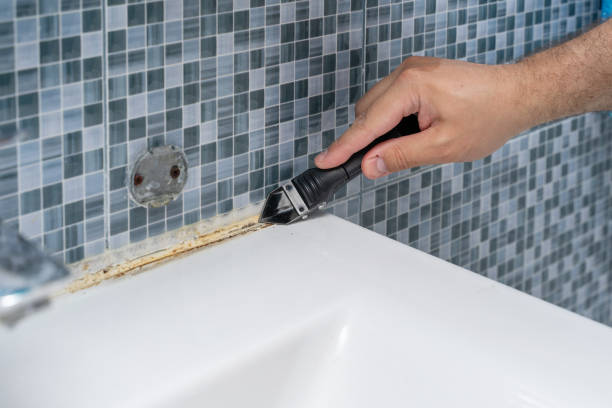  Fort Washakie, WY Mold Removal Pros