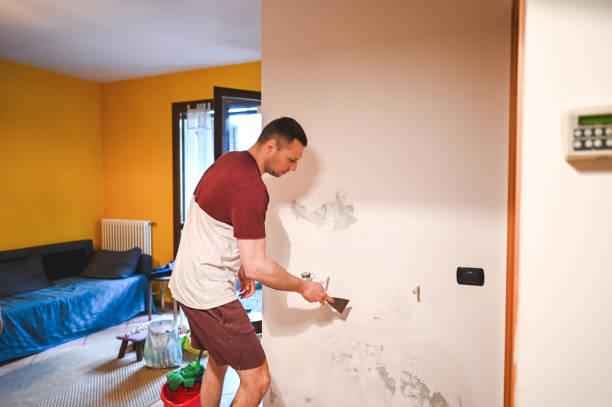 Best Emergency Mold Removal  in Fort Washakie, WY
